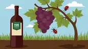 Bio-zertifizierte Qualität